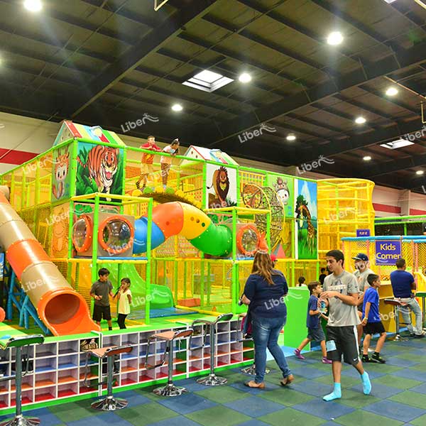 What Should I Do With The Investment Budget Of Indoor Soft Play?